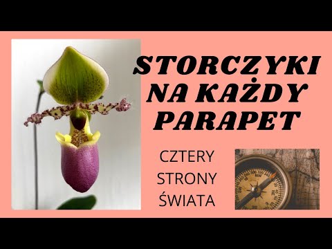 Wideo: Co powoduje światła północne i południowe