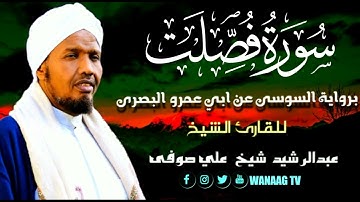 41-Sheikh AbdulRashid Sheikh Ali Sufi سورة فصلت برواية السوسي عن أبي عمرو، للقارئ الشيخ عبدالرشيد  ص