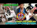 AYAM BUGIL WKWK..!! TIPS DAN TRIK AGAR AYAM MABUNG BISA CEPAT TUMBUH BULU DENGAN CEPAT DAN SEMPURNA