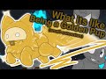 What its like being a golden pup small kp animation