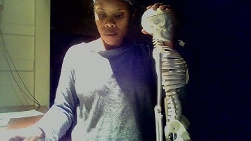 BIO235 Week 3 Axial Skeleton video