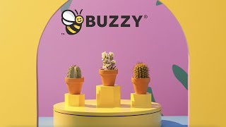 Buzzy Brand Story