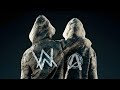 Alan Walker & Sasha Alex Sloan - Hero (Aras Özege Remix) | Official Audio - Instrumental Version