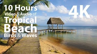 4K UHD 10 hours - Tropical Beach with Gentle Waves and Birds - calming, meditation, nature