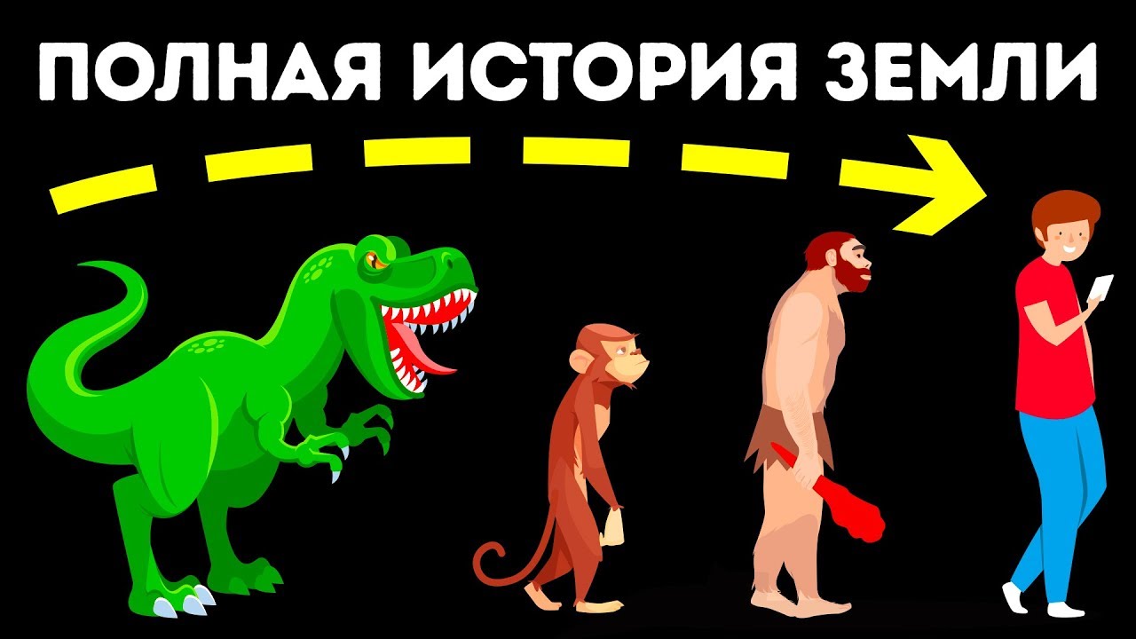 Эволюция трехслойных животных