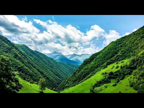 ცნობილი ქართველი მენახირეები 2020