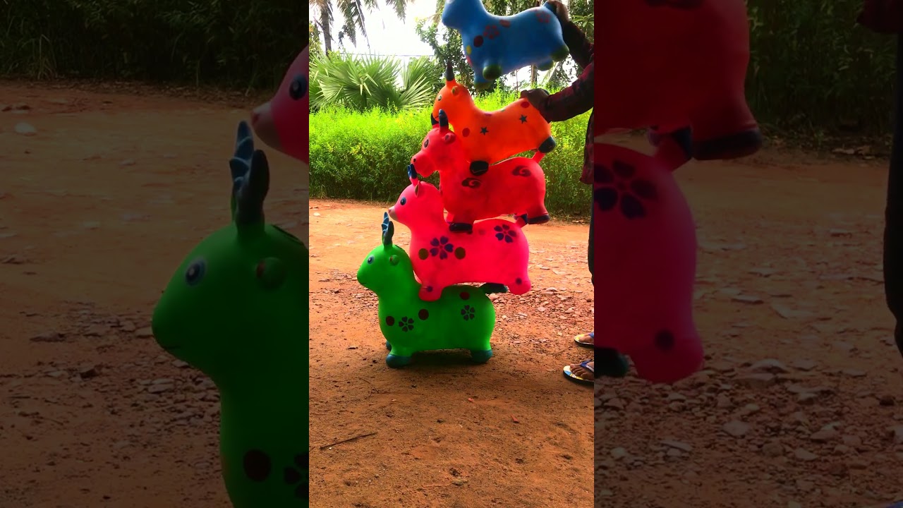 😅😅😅 Best Goat Colors 🐣🐣🐣 