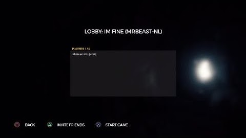 How to play with friends in the forest!!