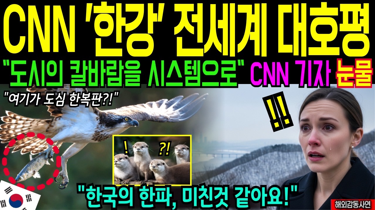 서울의 한강 또 난리났다! CNN 초대박! 전세계가 깜짝 놀란 서울 한강의 칼바람! 한파를 극복하는 시스템 다큐멘터리 [해외감동사연]