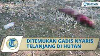 Download Lagu Viral Foto Seorang Gadis Ditemukan Nyaris Telanjang di Hutan, Diduga Tenggak Miras MP3