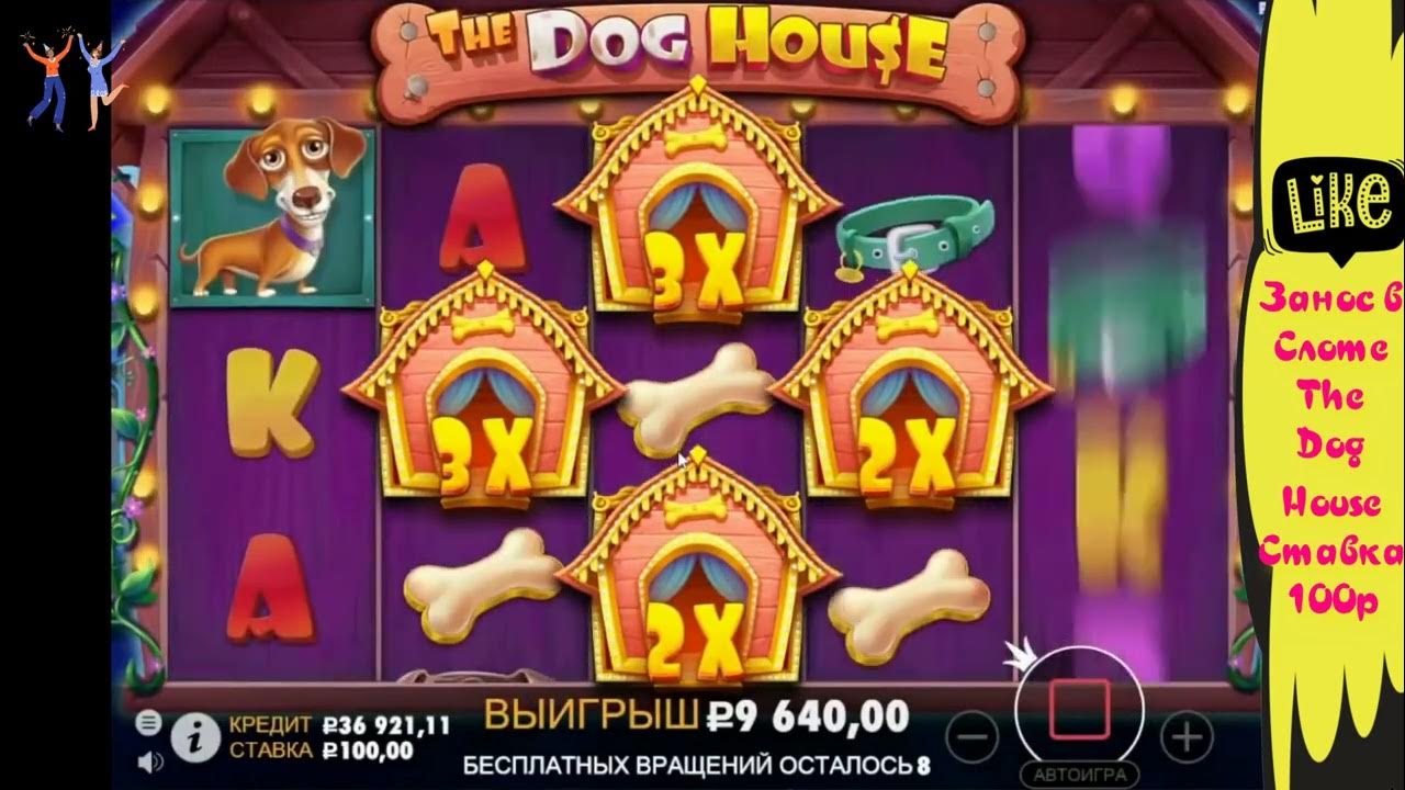 Dog house слот dogs house net