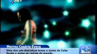 Video thumbnail of "Biografia de Cesária Évora"