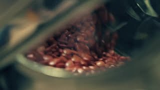 How Automated Validation Manager Enables Risk-Based Compliance