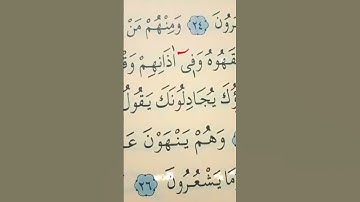 سورة الأنعام الأية 25 القارئ سعد الغامدي