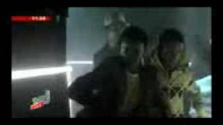 mondotek-alive-tecktonik
