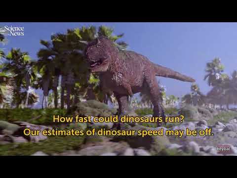 Can birds tell us how fast dinosaurs ran? | Science News