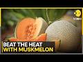 The Perfect Summer Fruit: Why You Need Muskmelon Today | WION