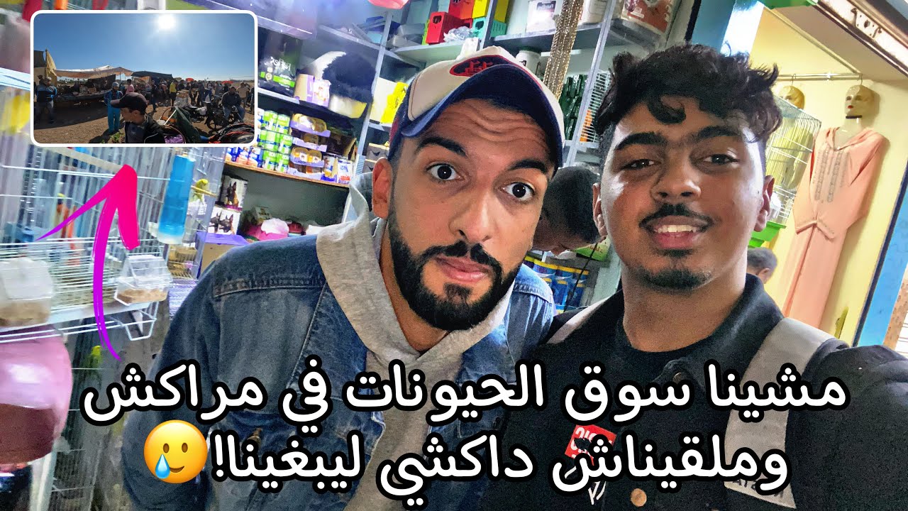 مشيت لمراكش 🌴 ودرت تحدي⚡️ مع عصفور  هوا لي يعزليا الطيور🦅( شوفو شنو شرليا 😂وبشحال🤑🦜 )