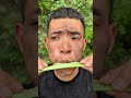 "How to Avoid Wild Animals in the Jungle – Survival Tips You Need to Know"