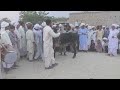 Baisakhi mela festival in punjab pakistan baisakhi 2022 waseem 4k movies