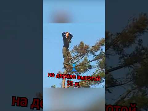 Девушка прожила на Дереве 700 дней 🌳