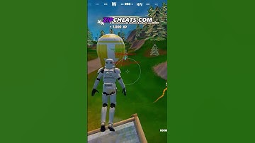 Using Aimbot & ESP in Fortnite #fortnite
