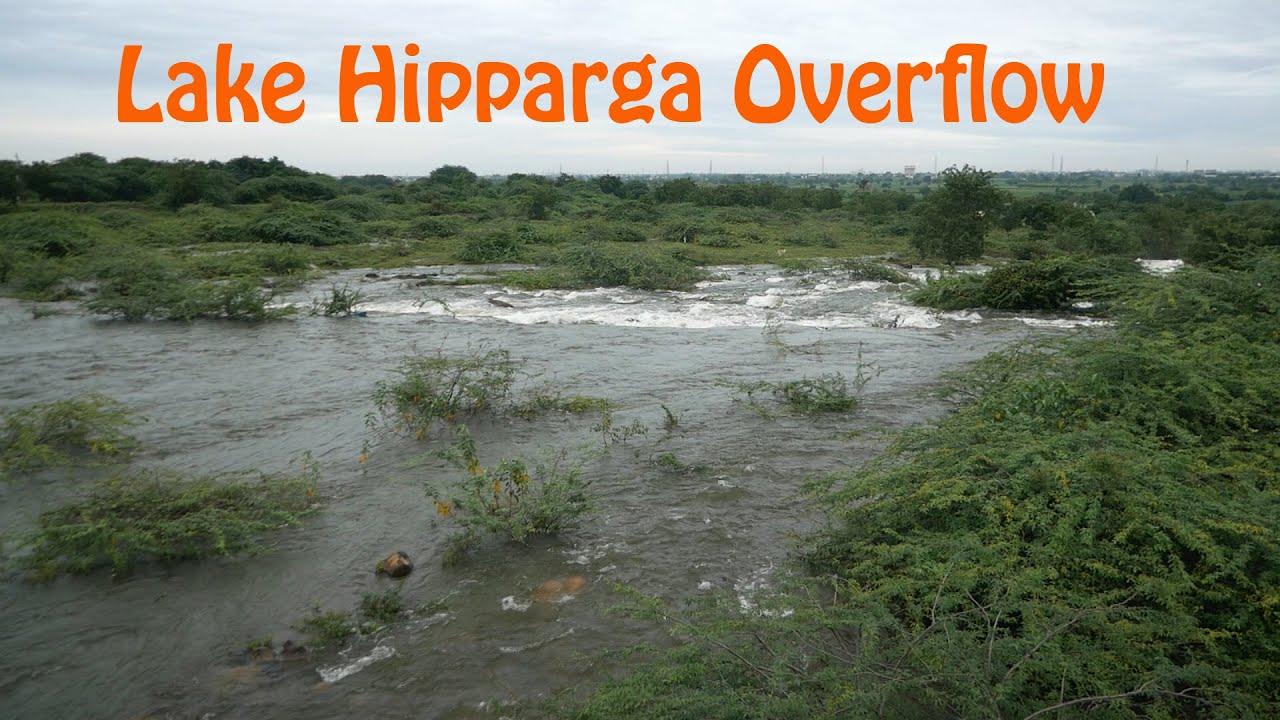 Lake Hipparga Overflow | Ekruk Lake |  Solapur | BHARAT 🇮🇳