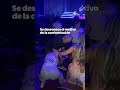 Mujeres se roban show en concierto de Hilary Duff tras agarrarse a golpes #Shorts