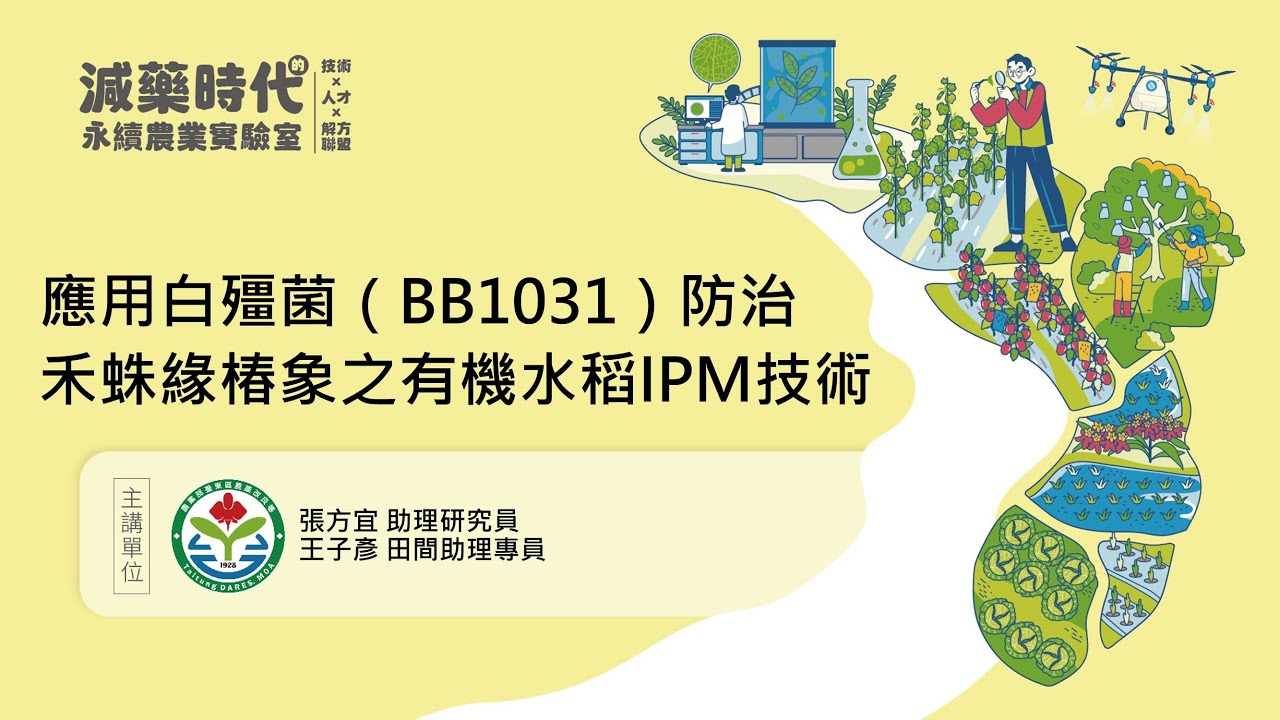 應用白殭菌（BB1031）防治禾蛛緣椿象之有機水稻IPM技術 縮圖