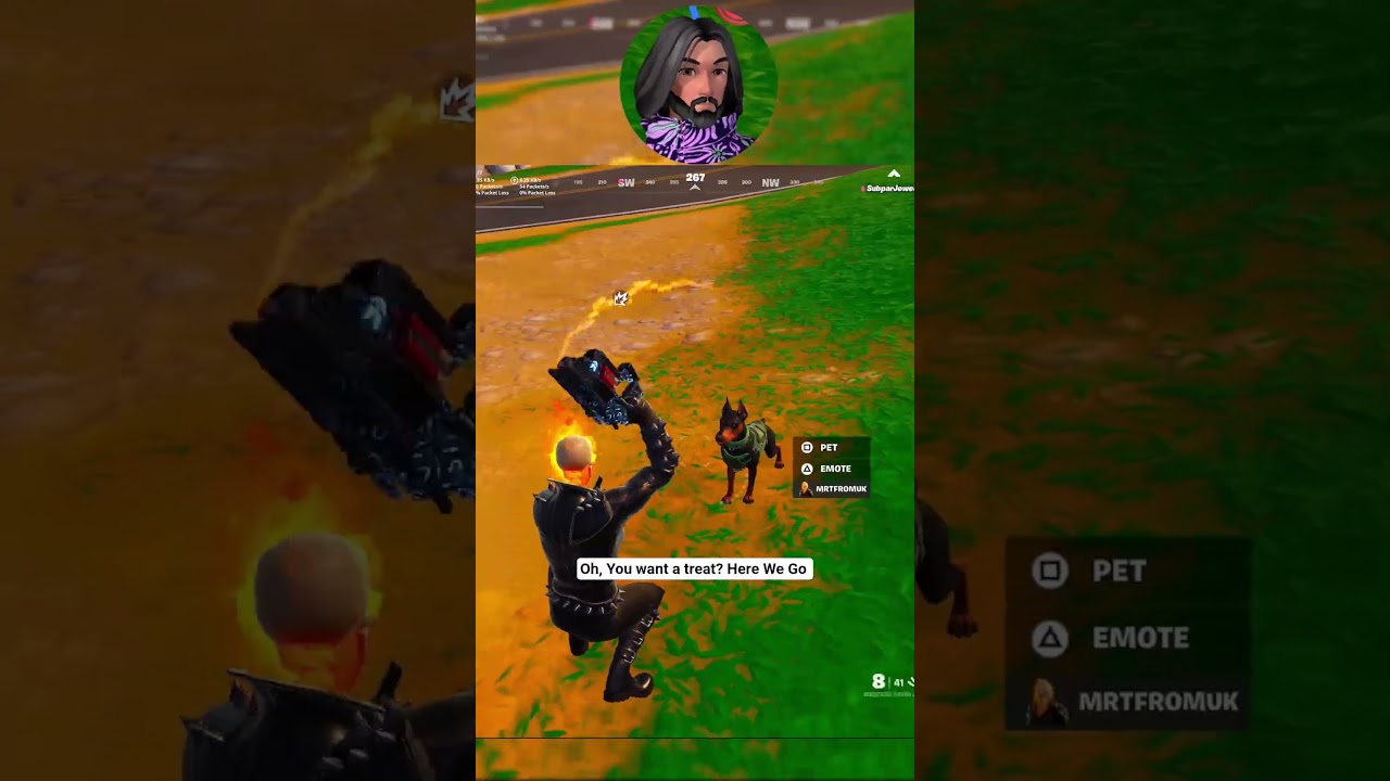 Домашним животным или компаньонам тоже нужны лакомства 