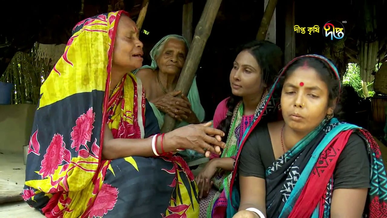 Deepto Krishi/দীপ্ত কৃষি - লিচু চাষ/পিরোজপুর, পর্ব ২৪২