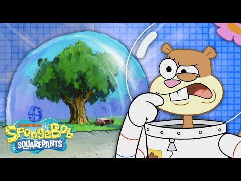 How REALISTIC is Sandy's Tree Dome? 🐿 SpongeBob Deep Dive