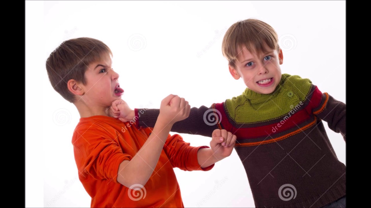 Fighting bros