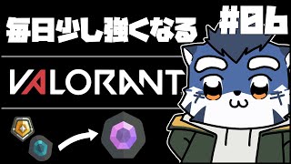 【valorant】地の底【あおねぐぅず】
