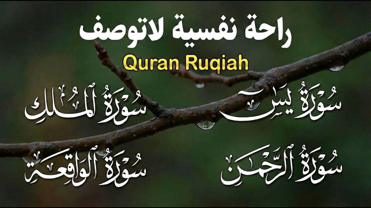 سورة يس❤️سورة الواقعة💛سورة الملك💚سورة الرحمن| سورالتحصين وزيادة الرزق والبركة بصوت هادئ مريح للقلب