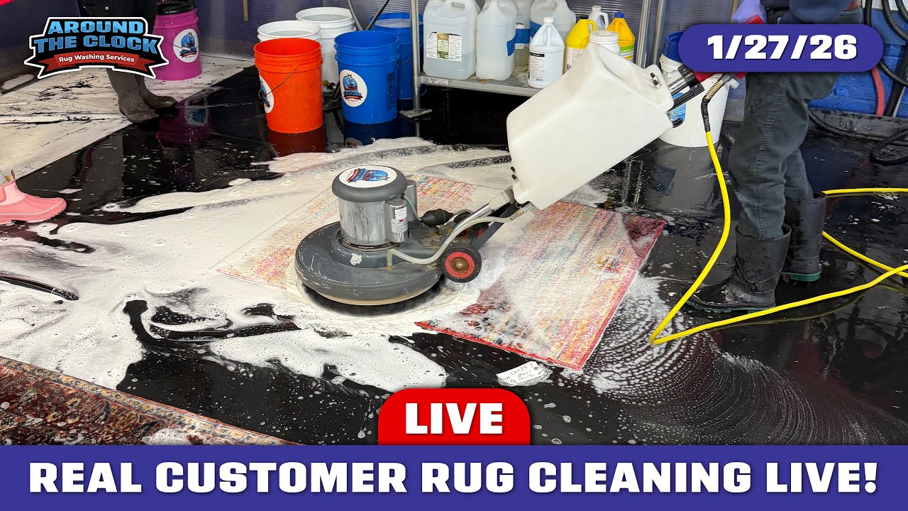 LIVE Rug Washing! 