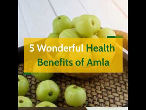 Amla (Gooeseberry) for Diabetes - Know The Benefits of Amla for Diabetes & Find Answers Frequently Asked Questio "Amla is Good for Diabetes?"