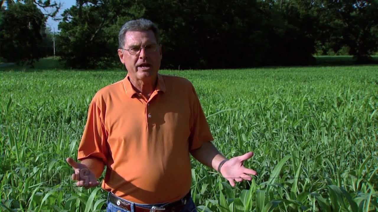 camera iphone 8 plus apk The Angus Report: July 23, 2012: Top Industry News