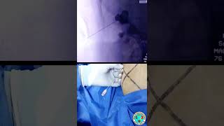 Roberto Antonio Gómez Guzman-7