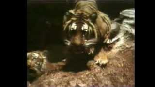 افتح ياسمسم أغنية هيا نأكل