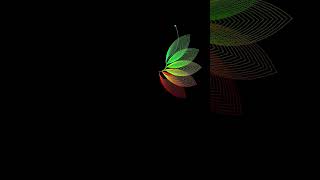 Amazing flower design using turtle 🐢 #python #coding #funny #viral #trending #design #programming