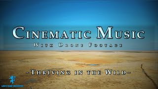 Thriving in the Wild | Cinematic Music | Wilderness Drone Footage Compilation