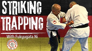 Practical Karate | Entering, Striking, and Trapping With Fukyugata Ni