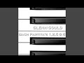 Miniature de la vidéo de la chanson Partita No. 1 In B-Flat Major, Bwv 825: Vii. Giga