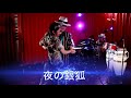夜の銀狐 マジョール風    #夜の銀狐