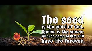 Why God's Word Doesn't Always Take Root in Our Hearts