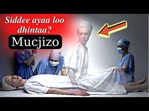 WAX BADAN KA OGOW DHİMASHADA QOFKA MARKA AY DHAFTA KA BİXİ RABTO WUXUU ARKAAYO