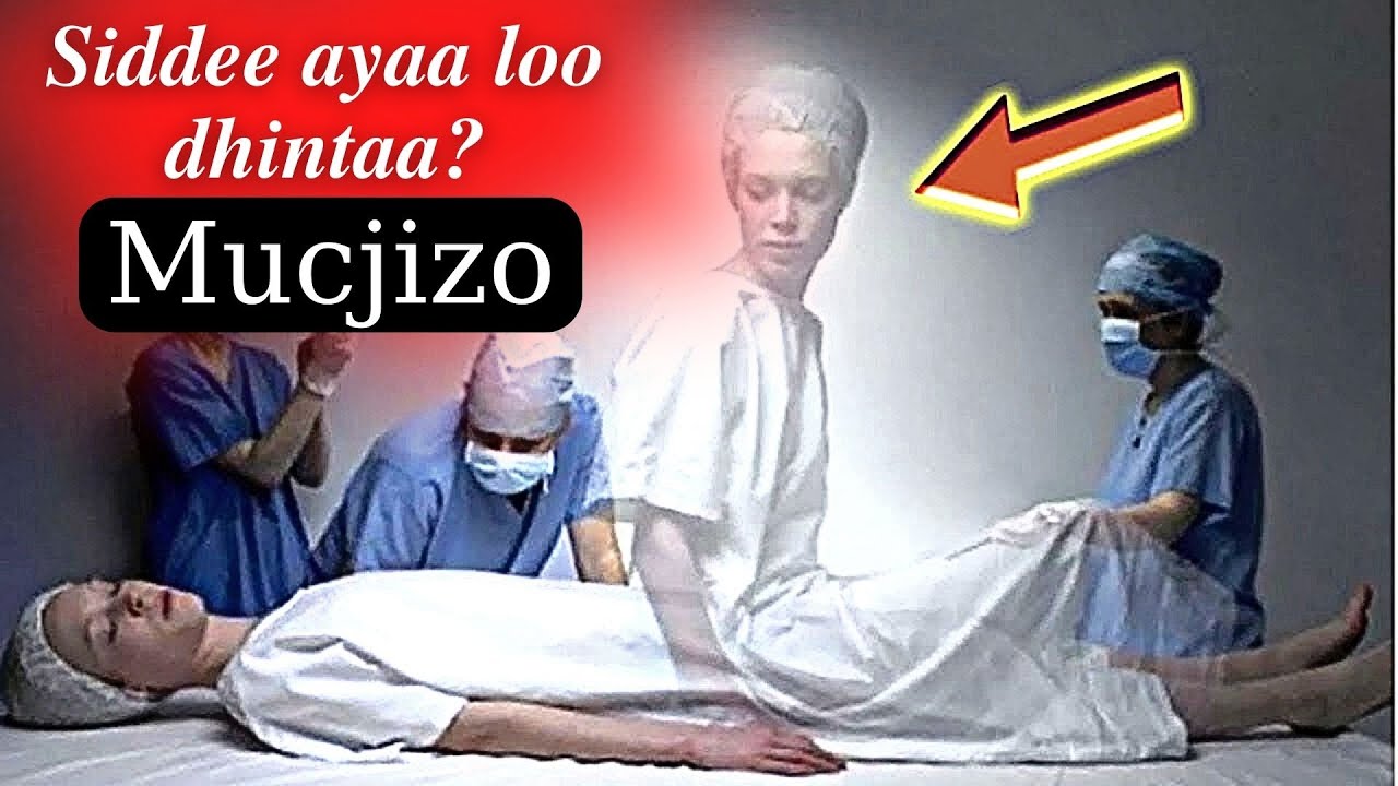 WAX BADAN KA OGOW DHİMASHADA QOFKA MARKA AY DHAFTA KA BİXİ RABTO WUXUU ARKAAYO