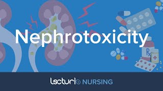 Medications That Cause Nephrotoxicity Kidney Damage Pharmacology