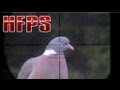 Slow Motion Airgun Pigeon Hunting #16